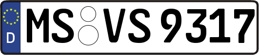 MS-VS9317