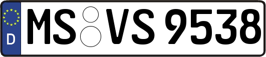 MS-VS9538