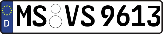 MS-VS9613