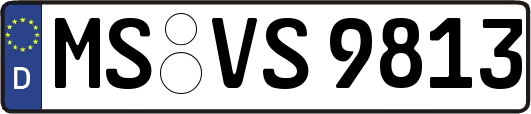 MS-VS9813