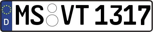 MS-VT1317