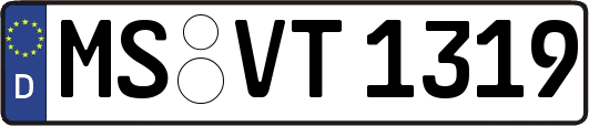 MS-VT1319