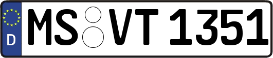 MS-VT1351