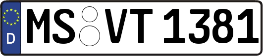 MS-VT1381