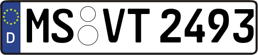 MS-VT2493