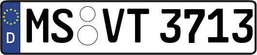MS-VT3713