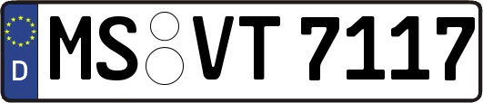 MS-VT7117