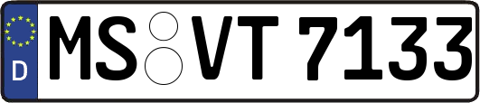 MS-VT7133