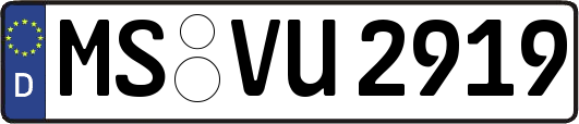 MS-VU2919
