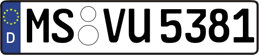 MS-VU5381