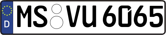 MS-VU6065