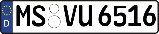 MS-VU6516