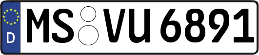 MS-VU6891
