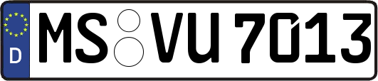 MS-VU7013