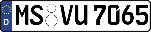 MS-VU7065