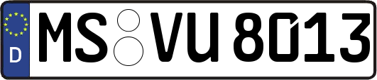 MS-VU8013