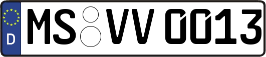 MS-VV0013