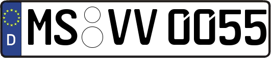 MS-VV0055