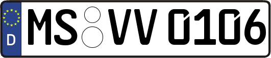 MS-VV0106