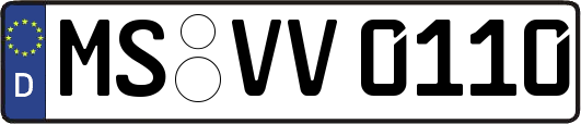MS-VV0110