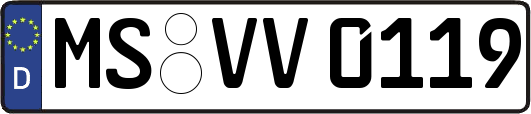 MS-VV0119
