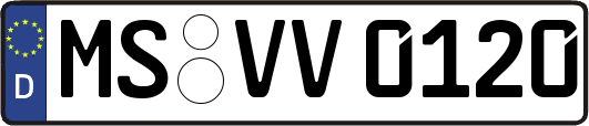 MS-VV0120