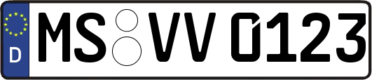 MS-VV0123