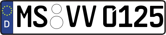 MS-VV0125