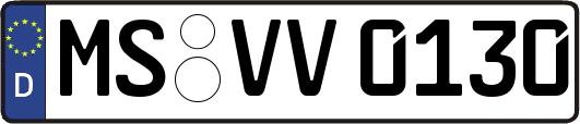 MS-VV0130