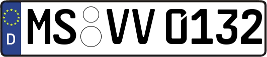 MS-VV0132