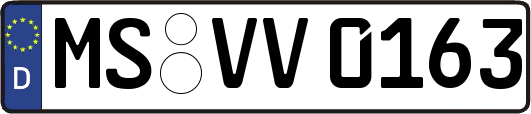 MS-VV0163