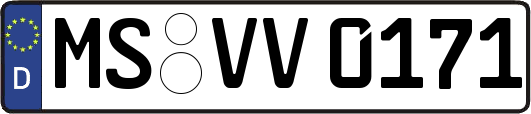 MS-VV0171