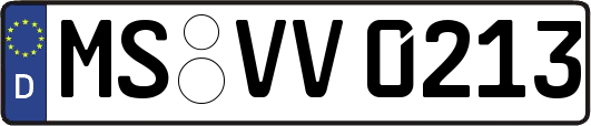 MS-VV0213