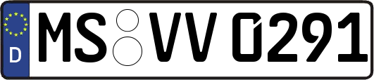 MS-VV0291