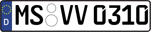 MS-VV0310