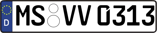 MS-VV0313