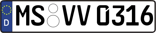 MS-VV0316