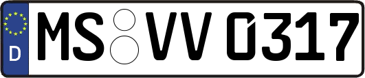 MS-VV0317
