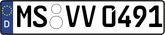 MS-VV0491
