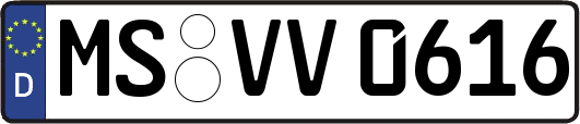MS-VV0616
