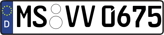 MS-VV0675