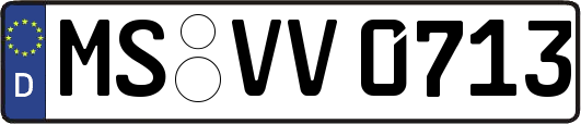 MS-VV0713