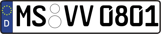 MS-VV0801