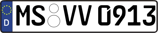 MS-VV0913
