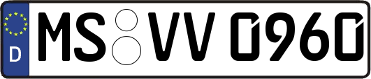 MS-VV0960