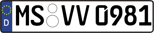 MS-VV0981