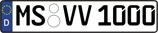 MS-VV1000