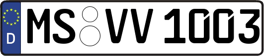 MS-VV1003