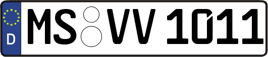 MS-VV1011
