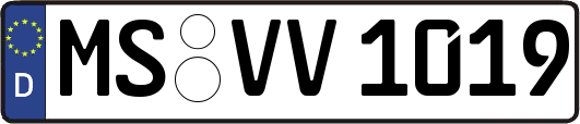 MS-VV1019